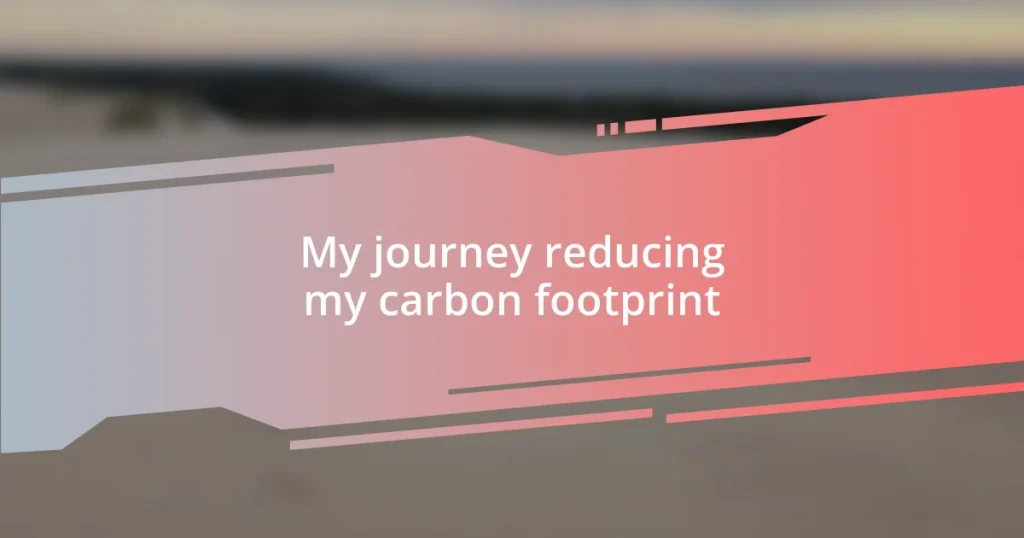 My journey reducing my carbon footprint